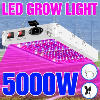 5000 W Пълен Набор от LED Лампа За отглеждане на Борда на Quantum Лампа За Растенията 220 В Led Hothouse Фито Лампа Хидропоника Осветление За Растежа на Цветята
